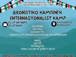 Cyprus: the programme of the Internationalist Camp 2024