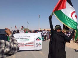 The need for international solidarity with Western Sahara struggle for self-determination!