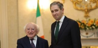 Irish General Election: Health and Housing Crises Will Dominate Campaign