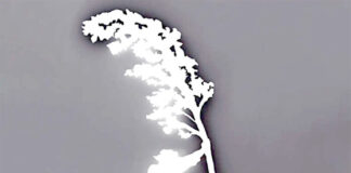 Contro Vento – Italy: About the stream, the experiencies of the masses, and the vanguard