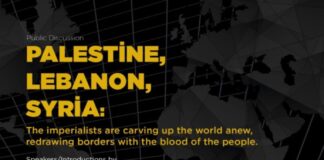 Cyprus- public discussion on Palestine, Syria, Lebanon