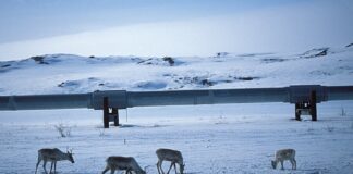 Alaska, the new mining frenzy of the Trump administration