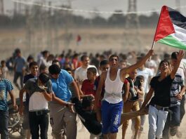 The History of the Palestinian Question- pt III