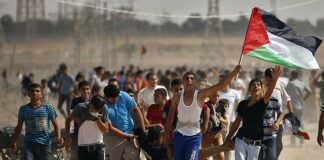 The History of the Palestinian Question- pt III