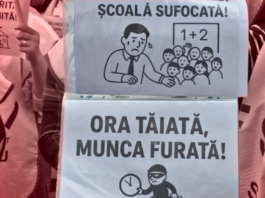 Capital wants you to be stupid