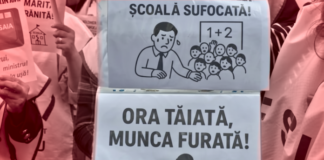 Capital wants you to be stupid