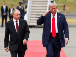 Will Trump bring peace to Ukraine?