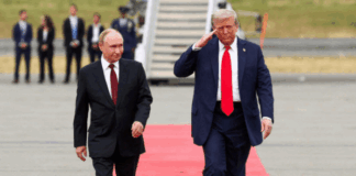 Will Trump bring peace to Ukraine?