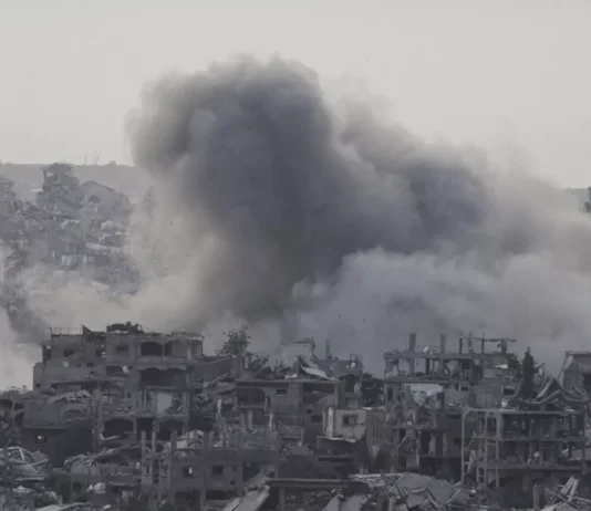 Gaza: Two years of horror – part I