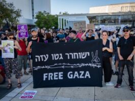 Gaza: Two years of horror – part II
