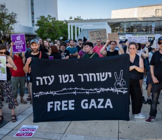 Gaza: Two years of horror – part II