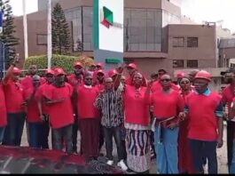 Nigeria: Strike against mass lay-offs in the Dangote Refinery