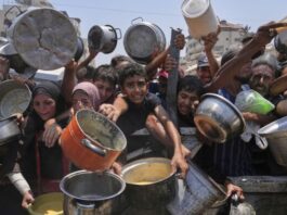 Gaza: war, ethnic cleansing, genocide – is there a way out?