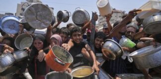 Gaza: war, ethnic cleansing, genocide – is there a way out?