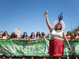 COP30: Common declaration between ISp, Colectivo Recomeço (Belem) and Novos Rumos