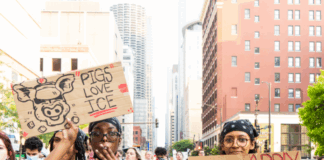 Anti-ICE protests and Trump- Interview with M. Wylder