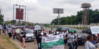 Nigeria: Coalition Protests Commercialisation of Jabi Lake, says “This Is Not Democracy”