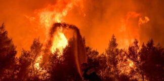 Disastrous wildfires in Southern Europe