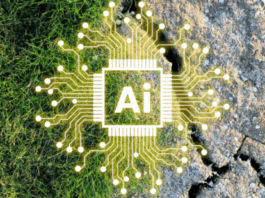 The environmental cost of AI
