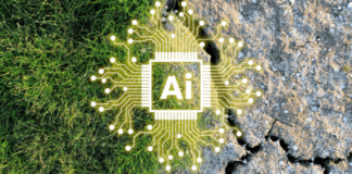 The environmental cost of AI