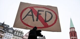 Germany – elections in Saxony-Anhalt: a historic shock. Interview Sebastian Rave