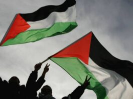 A debate on Palestine – Interview with Mihiar Ektami (president of “Palestinian Workers in Greece”)